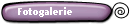 Fotogalerie